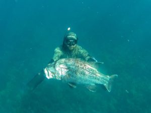 Fishing & Diving the Capes Autumn 2014 13 image03