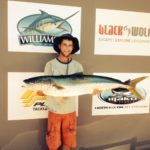 David Robertson “yellow tail kingfish”