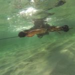 Lochie Pendlebry “Big Squid”