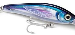 Lure Rapala saltwater X-rap Xrmagxt-160 HD Sailfish