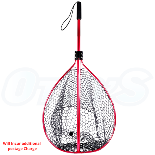 Net Landing Telescopic Catch and Release- Berkley
