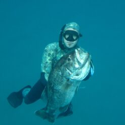 Diving